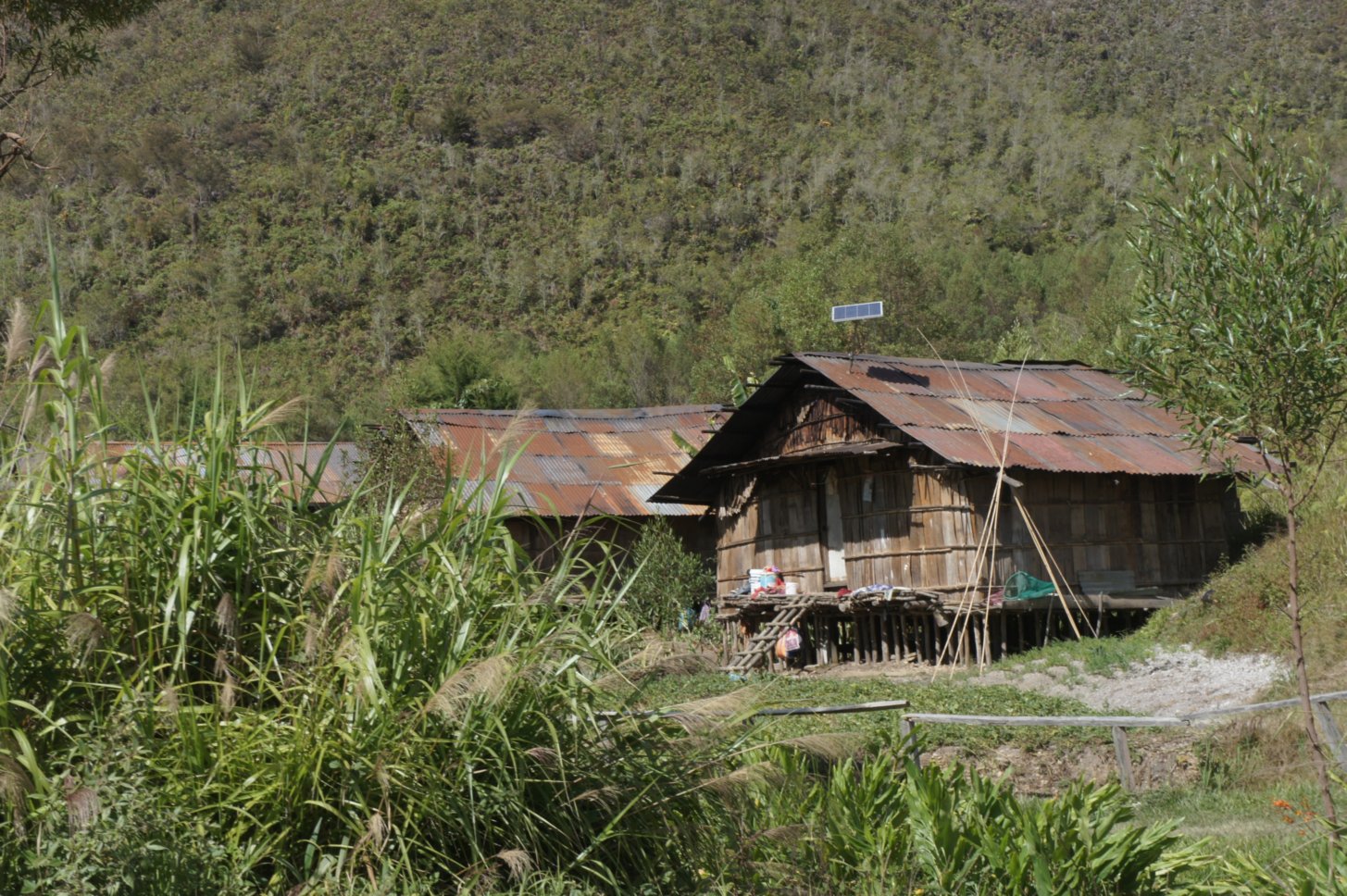Get Rumah Adat Papua Barat Kaki Seribu Background