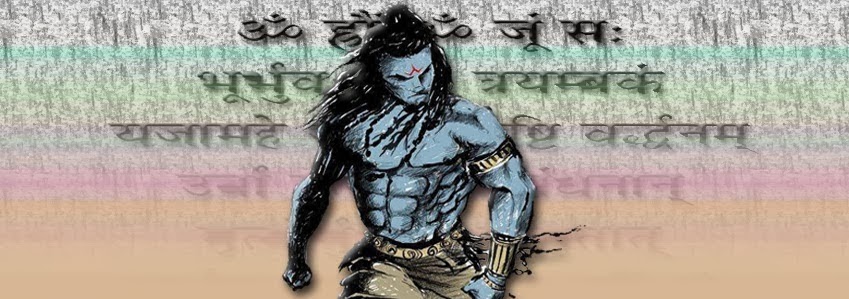 Mahadev Rudra Avatar - Shivaratri 2014 FB Cover pic