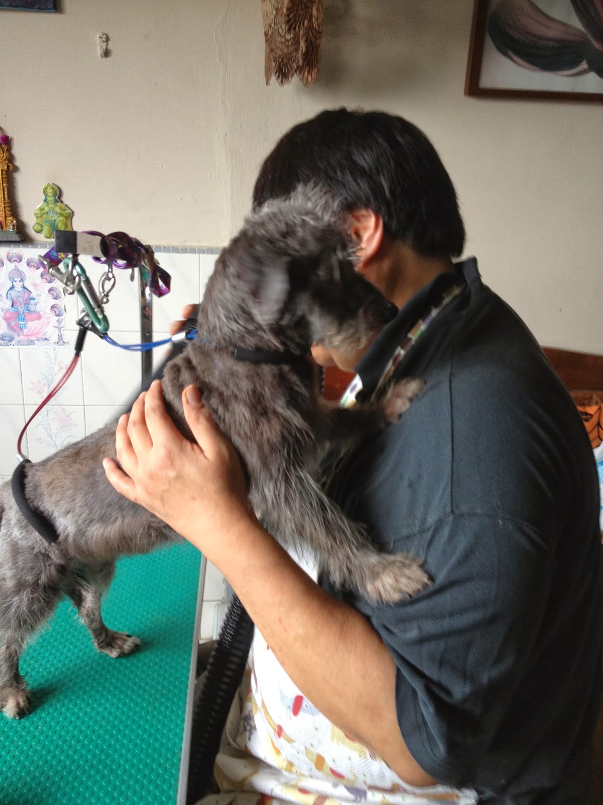 House call / Mobile Dog Grooming at your home / Personalized Pet