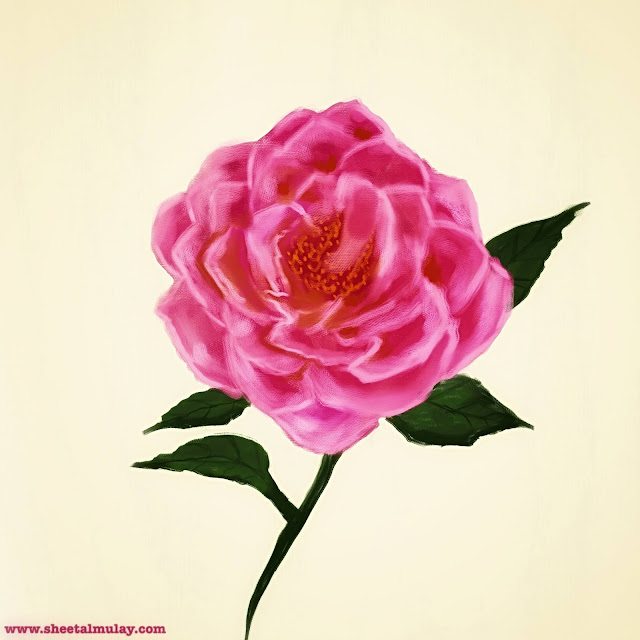 Painterly Rose using Procreate Digital illustration using Procreate