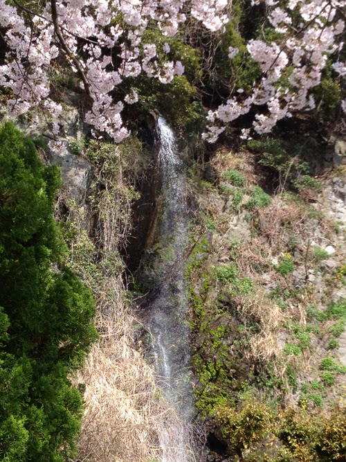 南越前町糠 白竜の滝公園