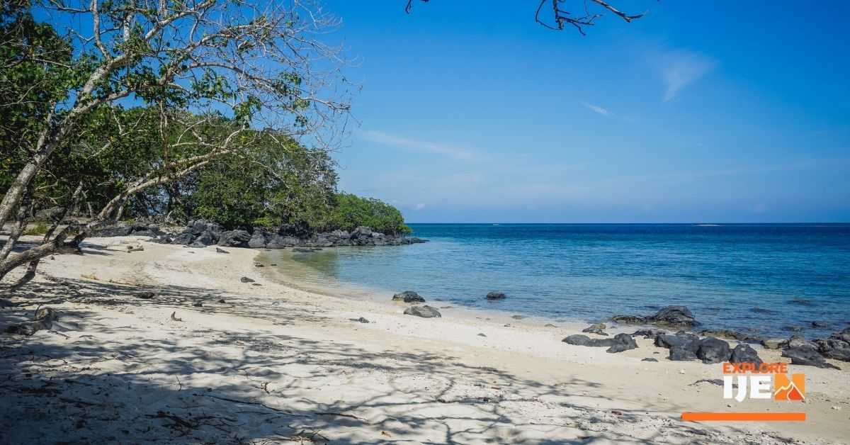 panorama dan wisata pantai di Bama Baluran pantai bama baluran