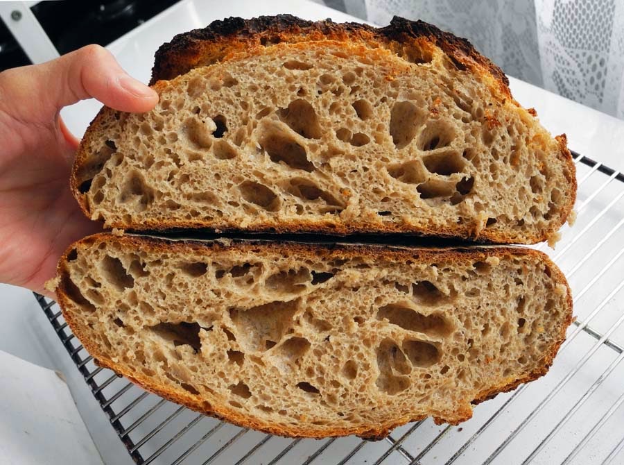 Baking Artisan Bread Ken Forkish's Field Blend 2