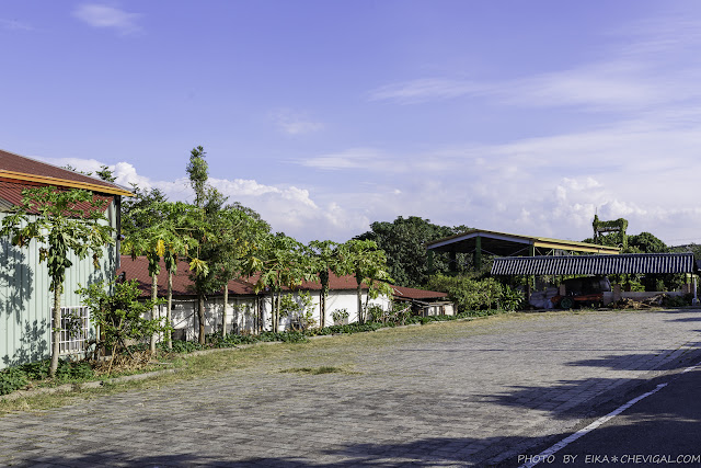 全臺獨家荔枝碗粿就在這!芬園三寶田媽媽,豐富荔枝風味餐、荔枝雞湯值得來嚐鮮!