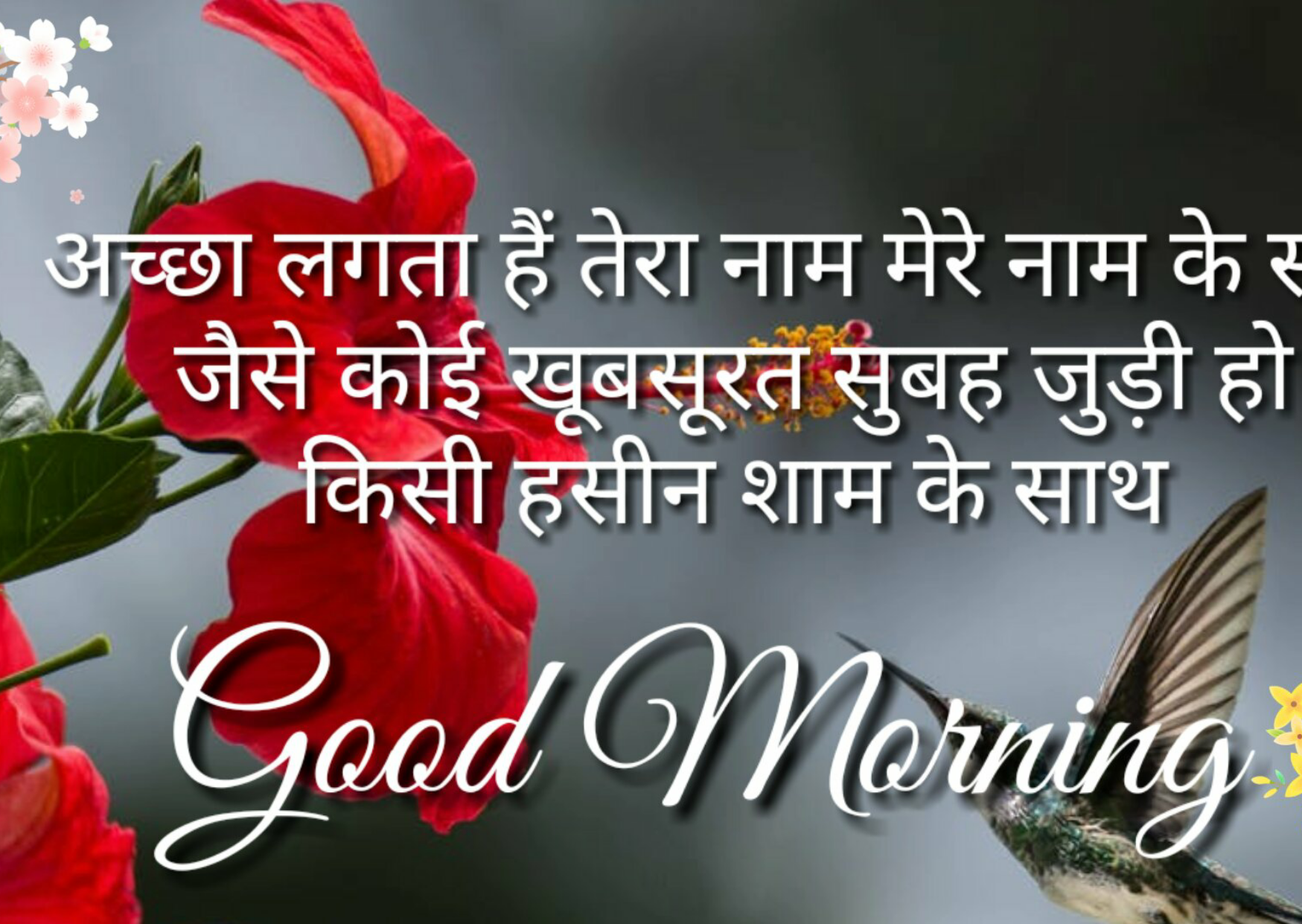 Good Morning Images for Wife Hindi, Good Morning Quotes wishes for Wife & lover,