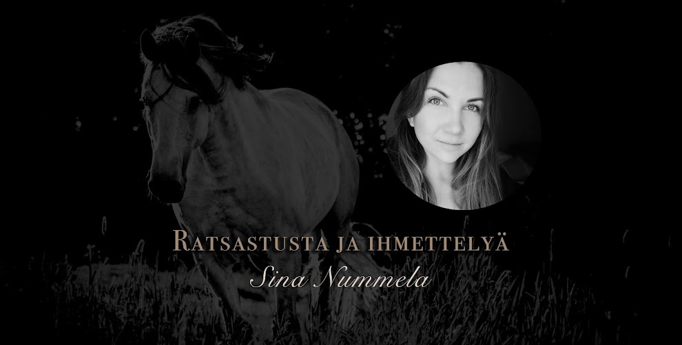 Ratsastusta ja ihmettelyä