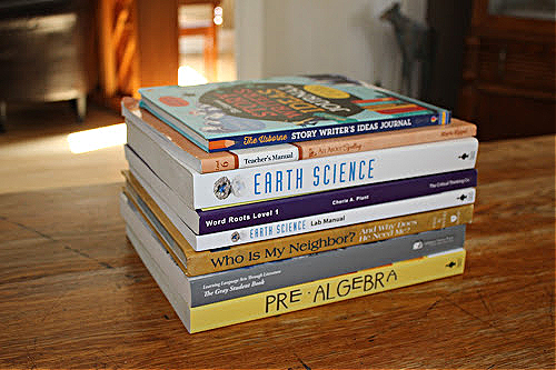 8th Grade Homeschool Curriculum Choices 2020-2021 8th Grade Homeschool Curriculum Choices 2020-2021