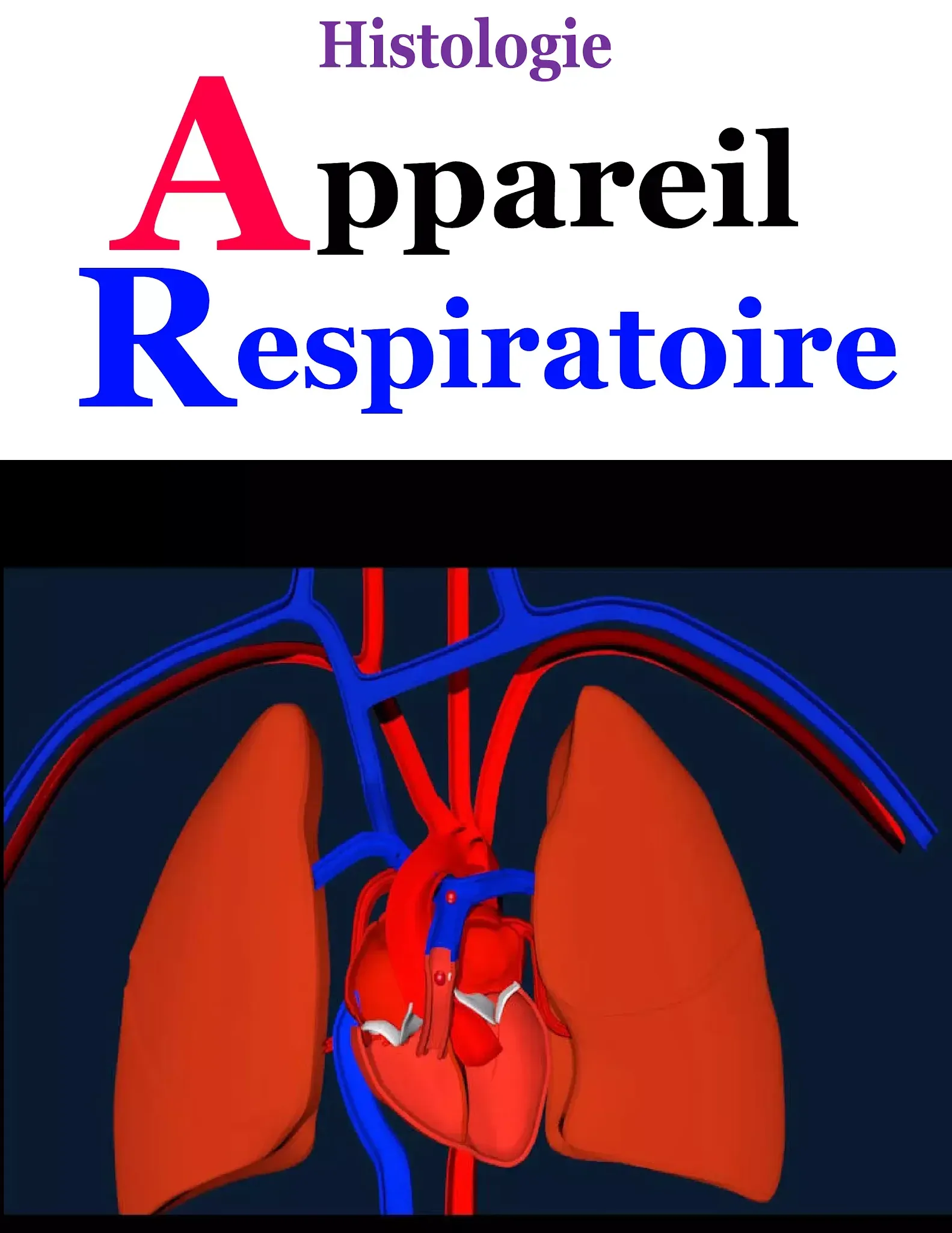 Histologie D'Appareil Respiratoire