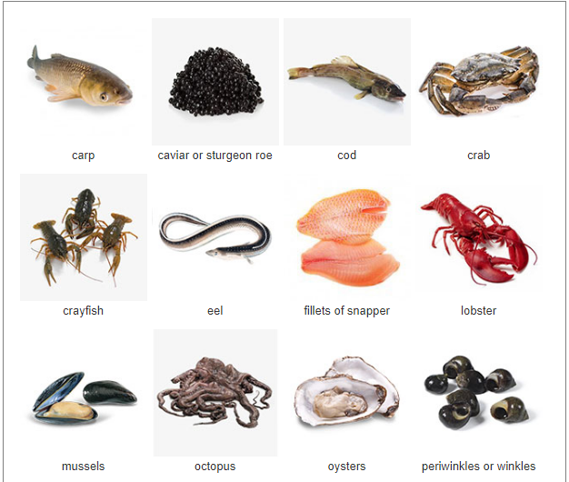 Fish and Seafood Vocabulary