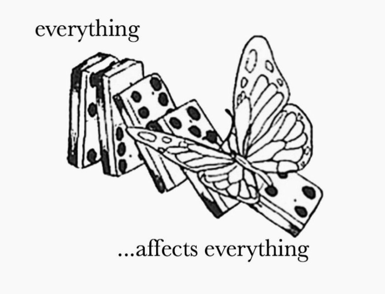 The butterfly effect