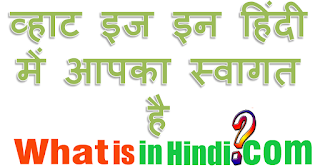 meaning of marital status in hindi