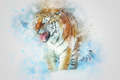 Tiger Images And Wallpaper Tiger Images And Wallpaper