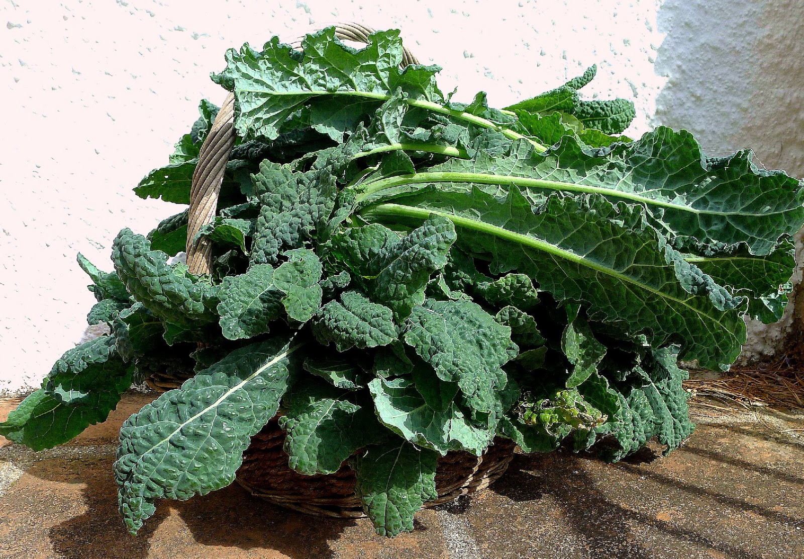 MY KITCHEN IN SPAIN THE KALE REPORT
