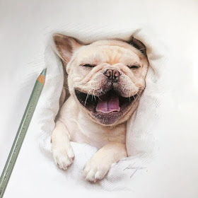 05-Smiling-French-Bulldog-Quanyu-www-designstack-co