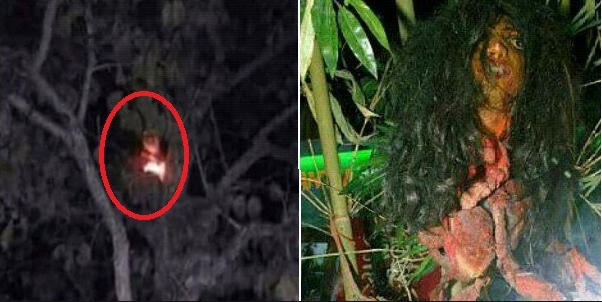 41 Koleksi Gambar Hantu Pirau Gratis