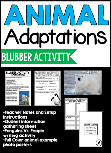Animal Adaptations: Top Five Ways to Engage - Creative Classroom Core