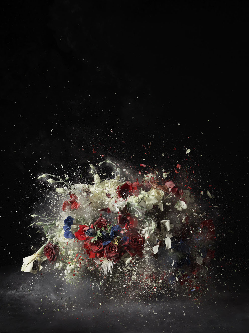 Willow Rose Ori Gersht's Exploding Flowers