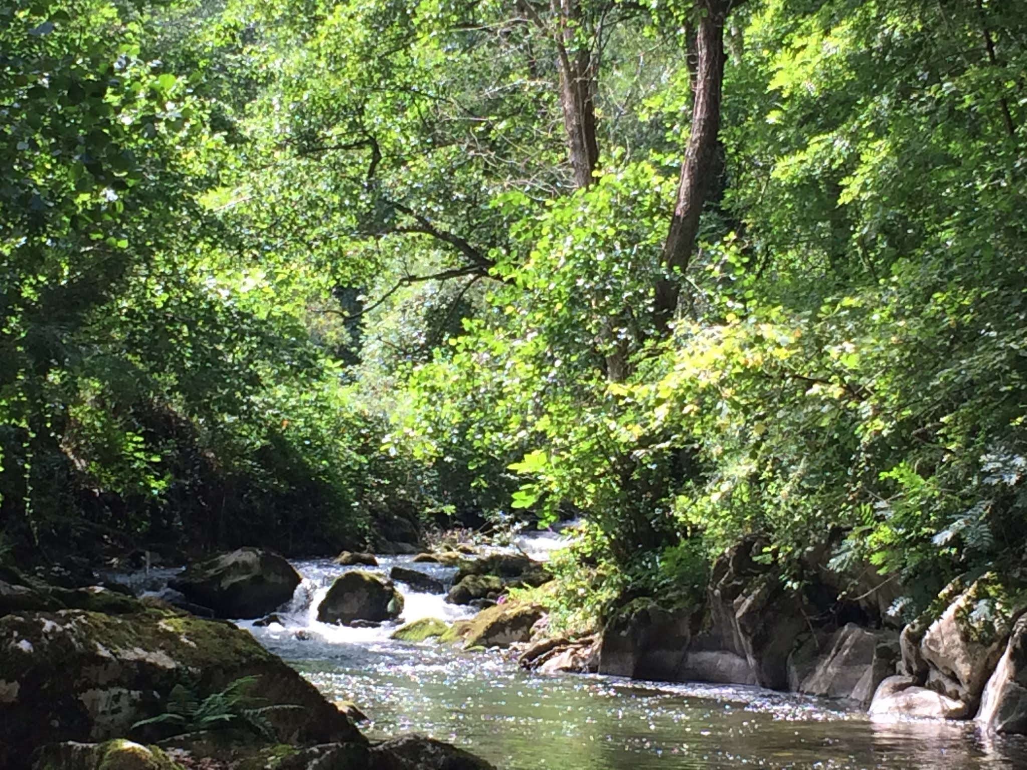 PESCARMONA DÓNDE Y CÓMO PESCAR Río Cubia (Asturias)…