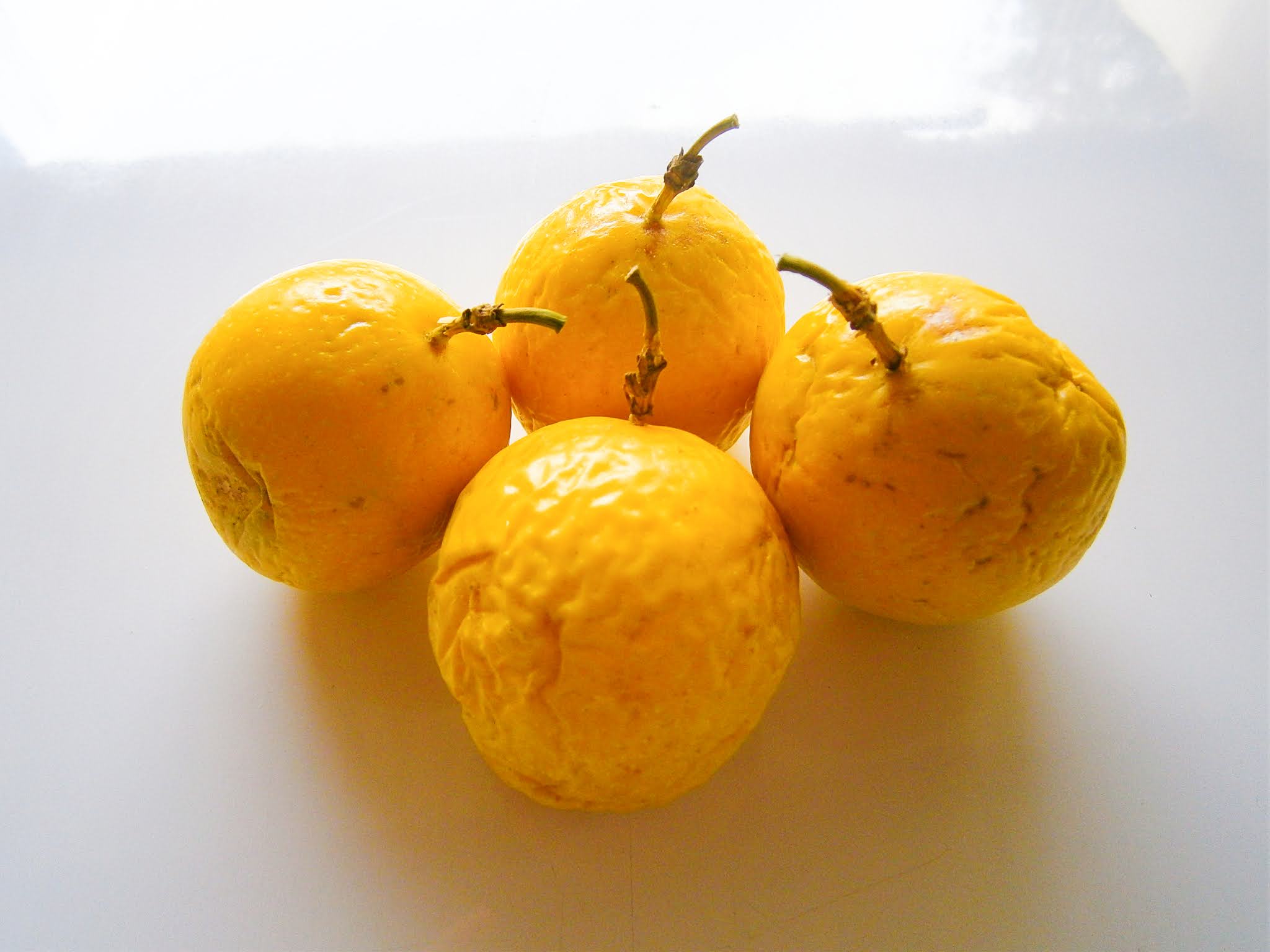 Fruta de la maracuyá peruana puesto sobre un fondo de color blanco