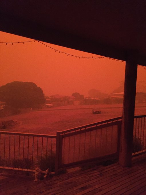 Australian Skies Turn ‘Apocalyptic’ Blood RED from Bush Fires - The ...