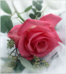 mundo imagenes rosas bellas mas flores hermosas