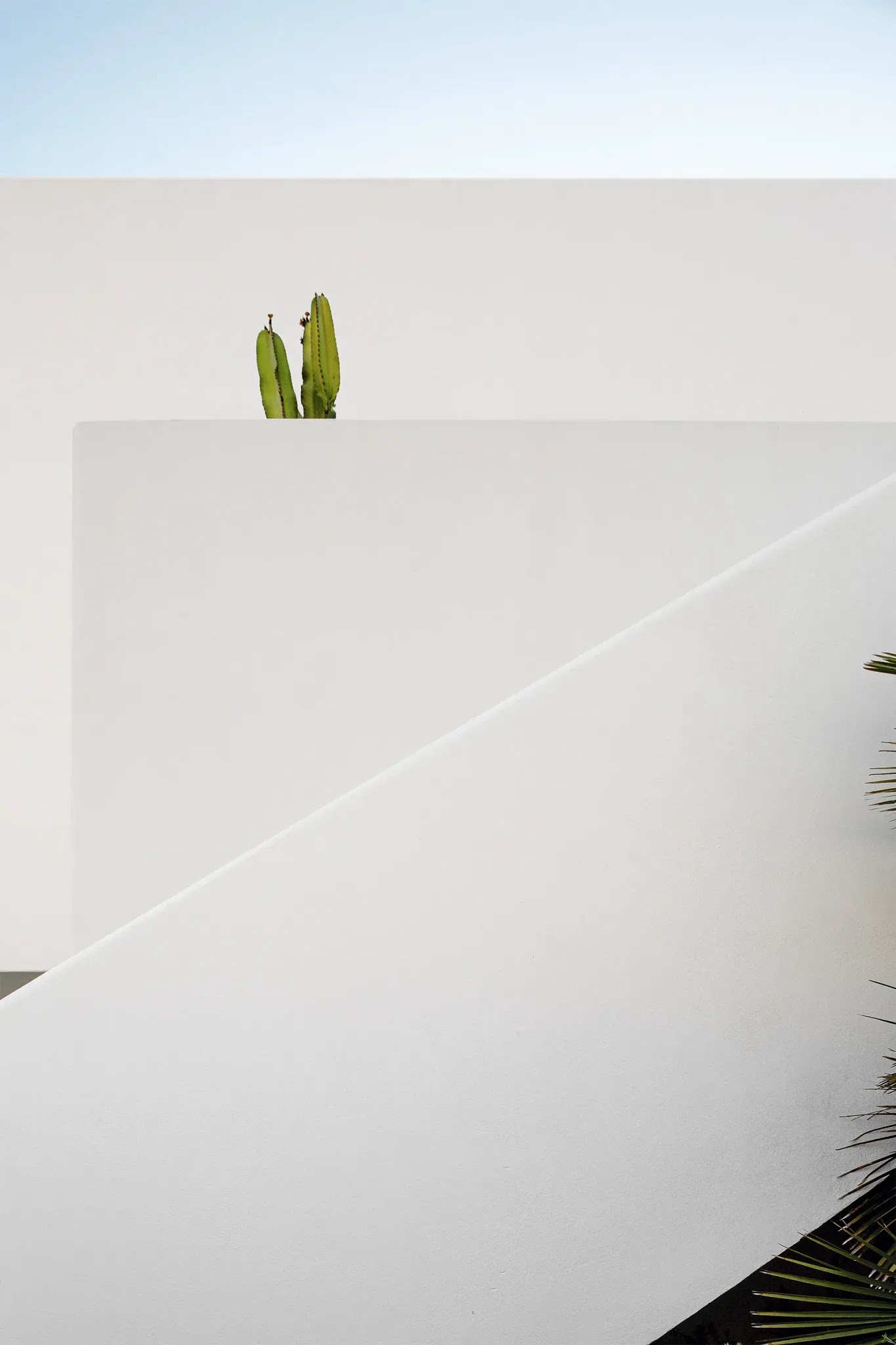 ������� ����� � ����� ���� A7B4544cmyk.webp