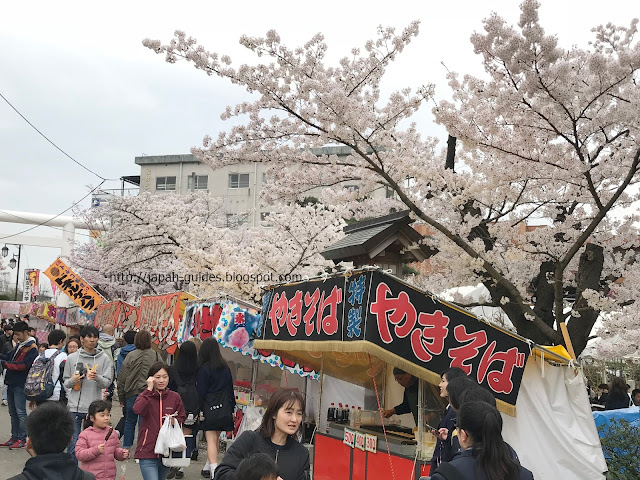 Kaiseizan Daijingu Shrine Sakura