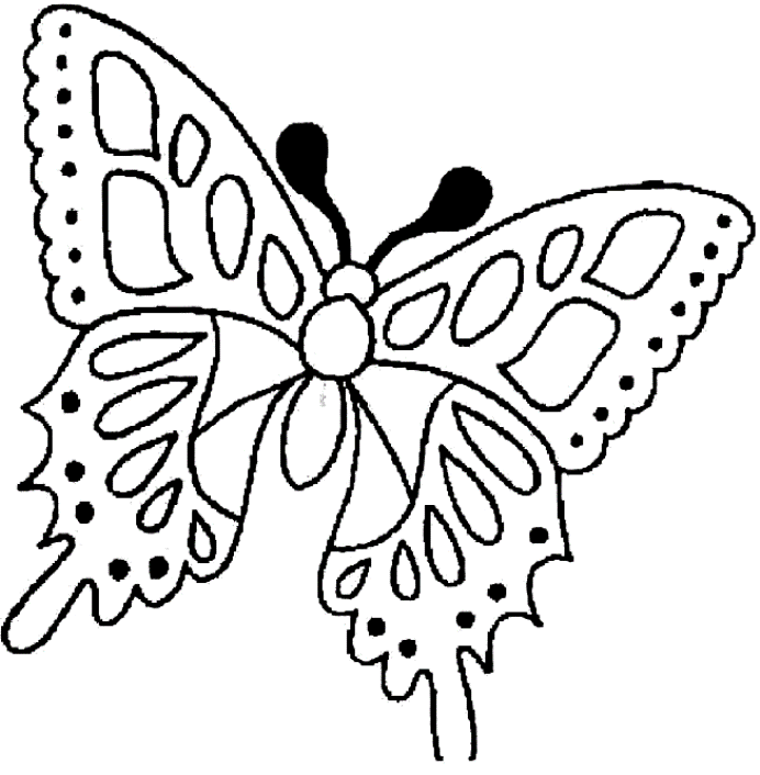 farfalla - disegno da stampare e colorare