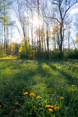 Premiumwanderweg DonAUwald | Etappe 2 von Offingen nach Gundelfingen 03