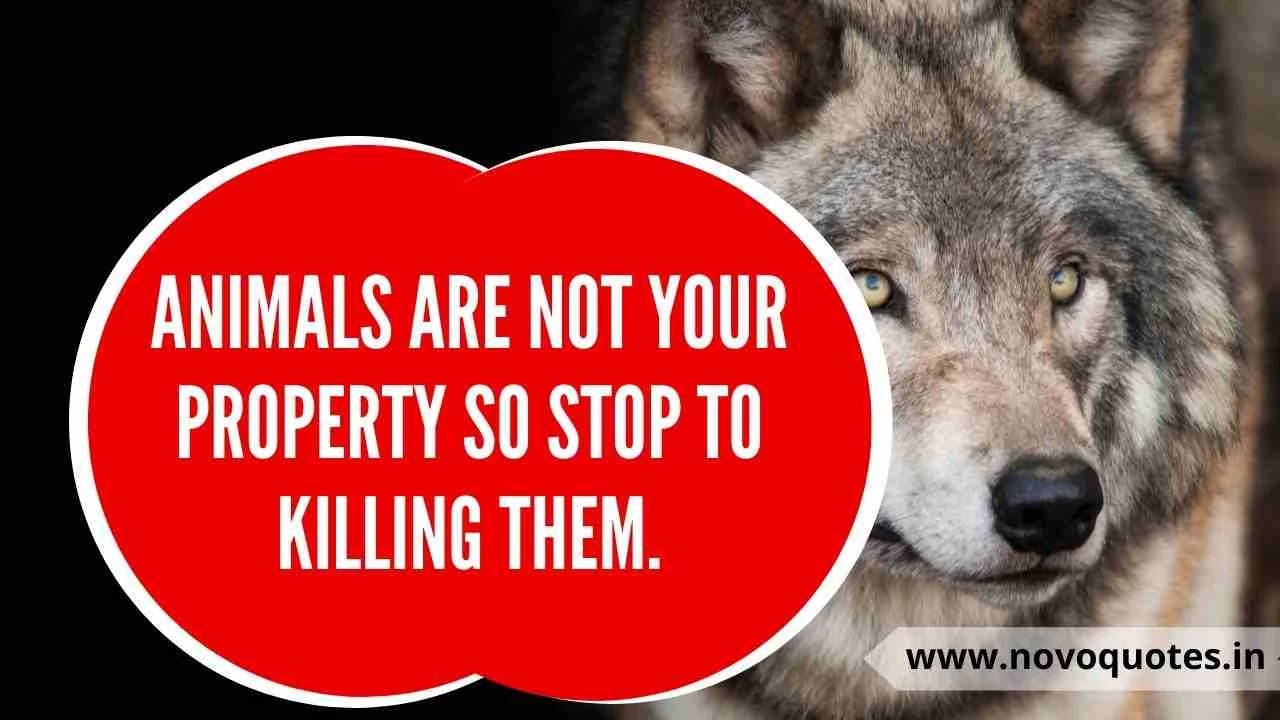 99+ Save Wildlife Slogans & Quotes 2021