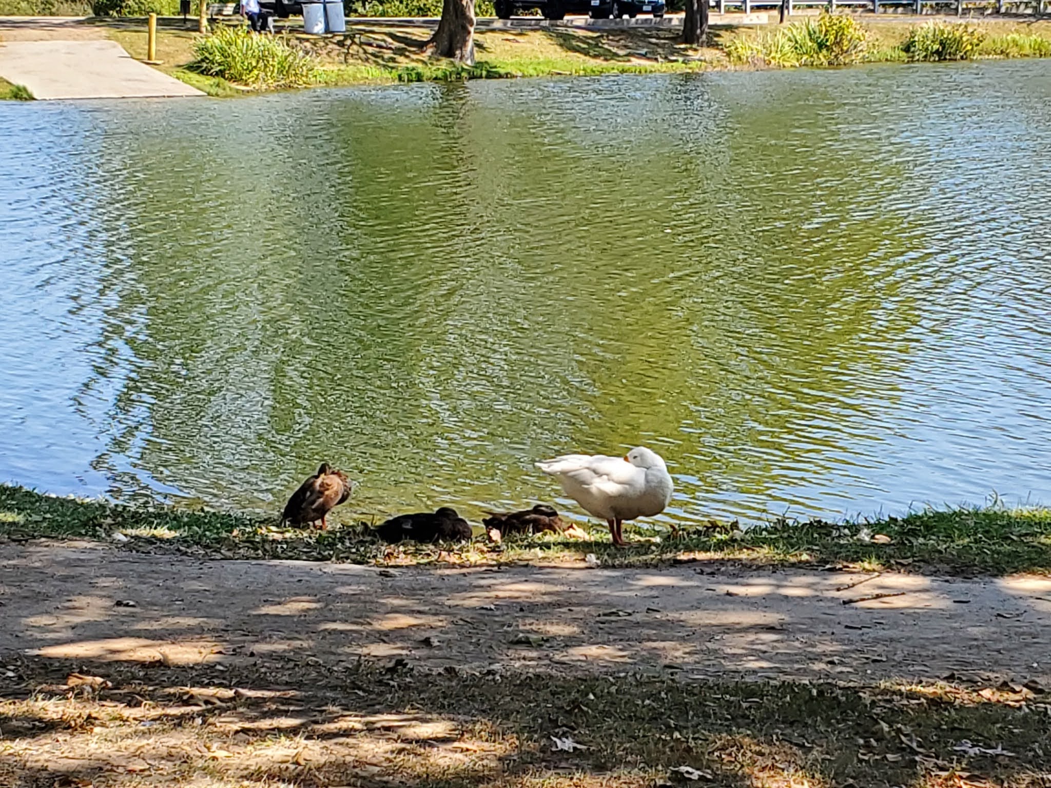Play St. Louis Lakeview Park, Bonne Terre