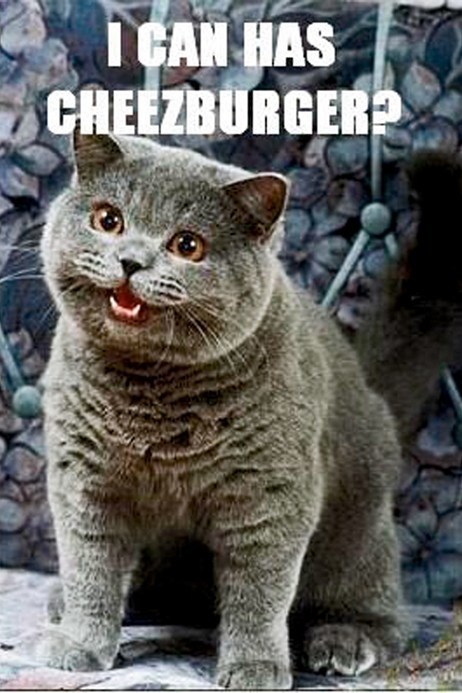 Mewotivational Monday Memes To Get All The Introverted Cats Out Of Bed And  Ready For The Work Week - I Can Has Cheezburger?