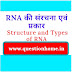 RNA की संरचना एवं प्रकार || Structure and Types of RNA