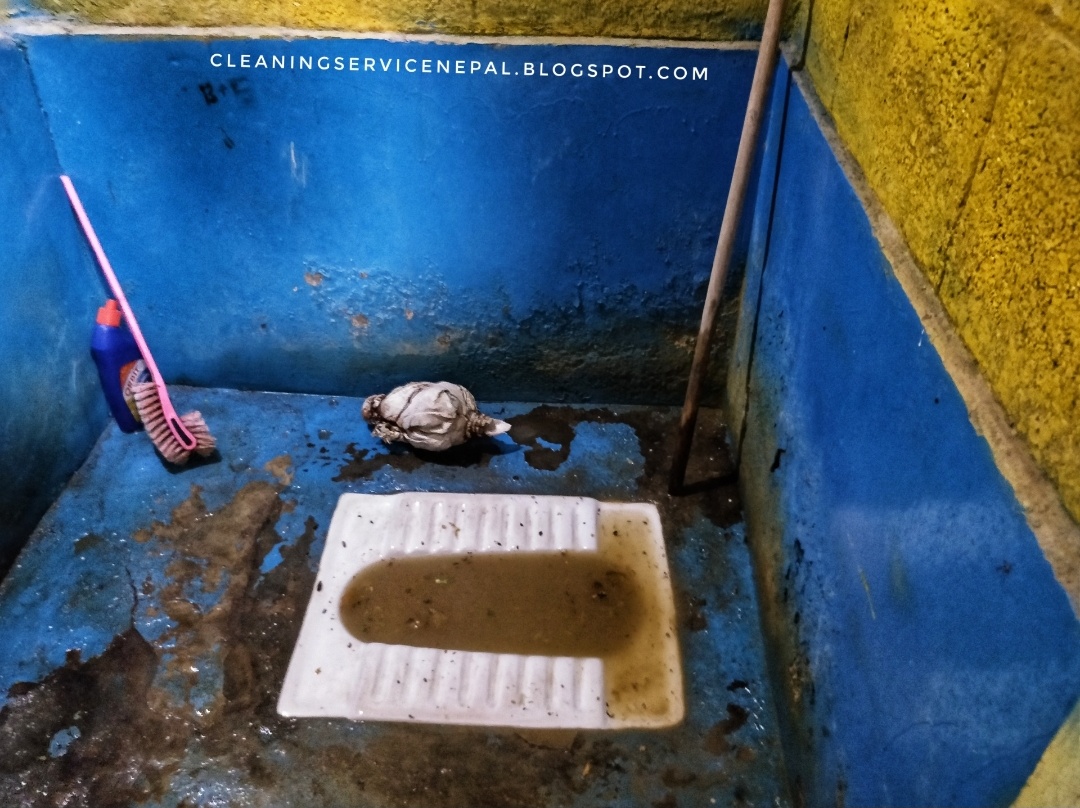Toilet, Dhal, Mangal , Kitchen Jam cleaner in Nepal