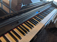 picture of Willams Brioso digital piano