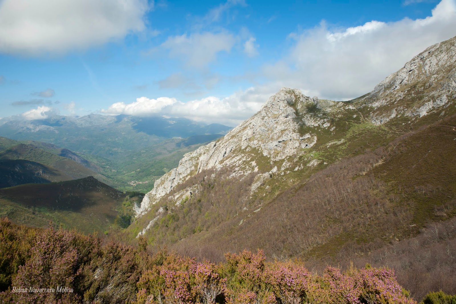 Instantes, fotos de Sebastián Navarrete Parque