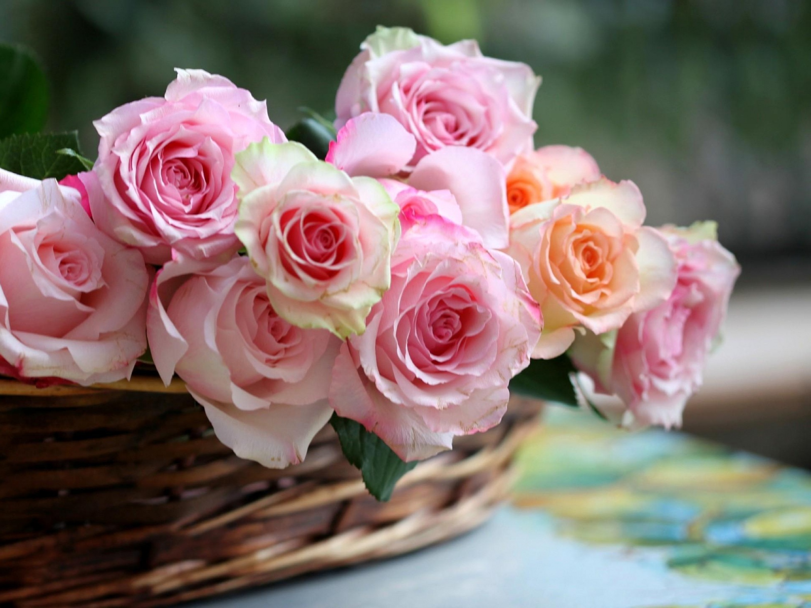 صور خلفيات سلال زهور رائعة عالية الدقة مداد الجليد