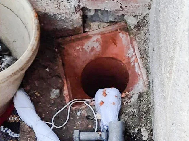 The drain down which the kittens plunged