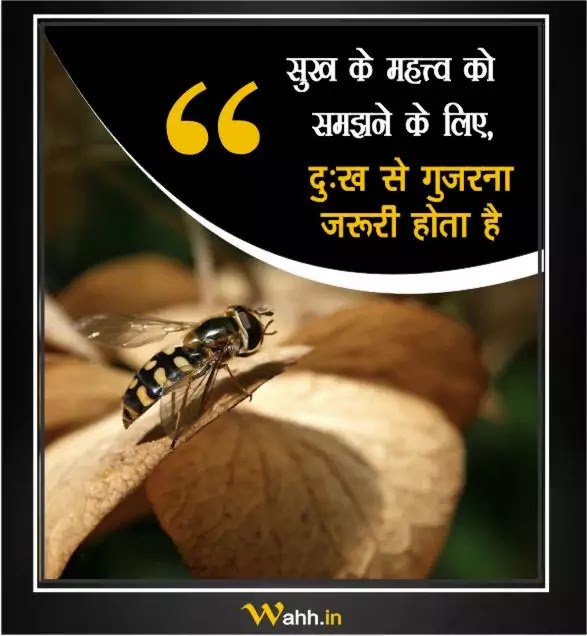 Motivational Thought Of The Day In Hindi 