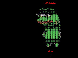Two Indian Government Websites Have Been Hacked, Revealing Security Flaws