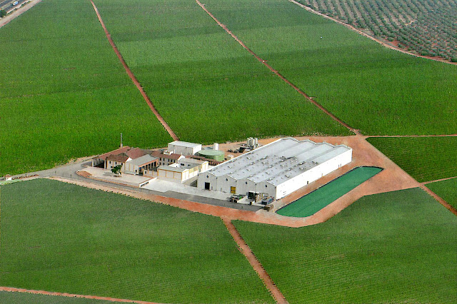 Málaga Virgen: Bodega y vino