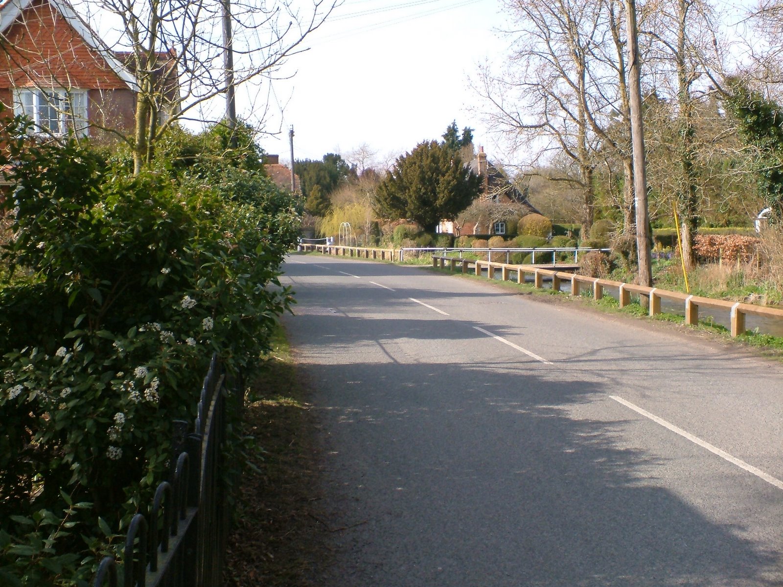 Arrowhead Alpines Blog The Three Rules To Growing Daphnes