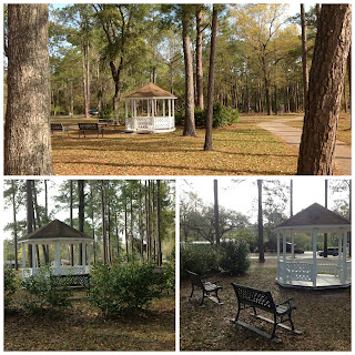 Azalea Park Crawfordville Florida USA