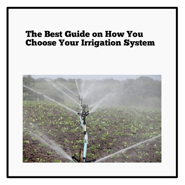 The Best Guide on How You Choose Your Irrigation System 