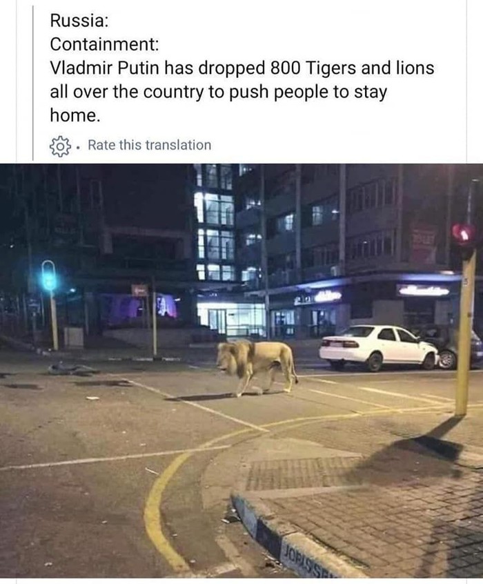 Viral!! Putin Lepas Singa Cegah Warga Keluar Saat Wabah Corona, Hoax or Not? Viral!! Putin Lepas Singa Cegah Warga Keluar Saat Wabah Corona, Hoax or Not?