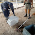 Jiboia encontrada no Residencial Mairi em Juazeiro (BA) é entregue pelos Bombeiros no 72ºBIMTZ, em Petrolina (PE)