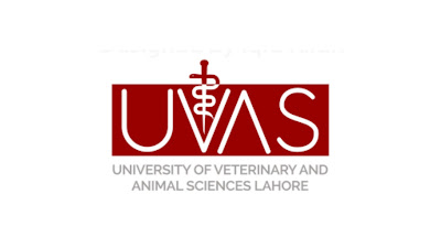 University of veterinary and Animal Sciences, Lahore Latest Jobs UVAS Lahore Jobs 2021