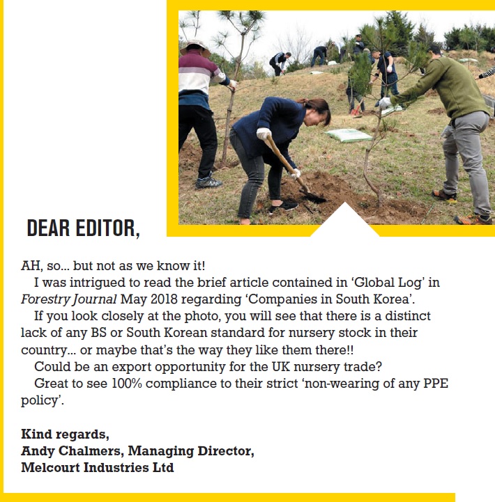 Openplants South Korea Tree Planting Day and Beach Road