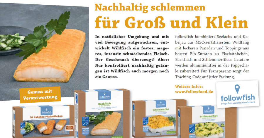 Elfenkunst Von Nicole Elflein Juni 2019