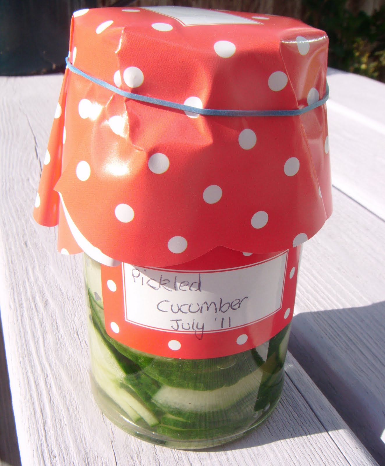 We Don't Eat Anything With A Face Pickled Cucumber